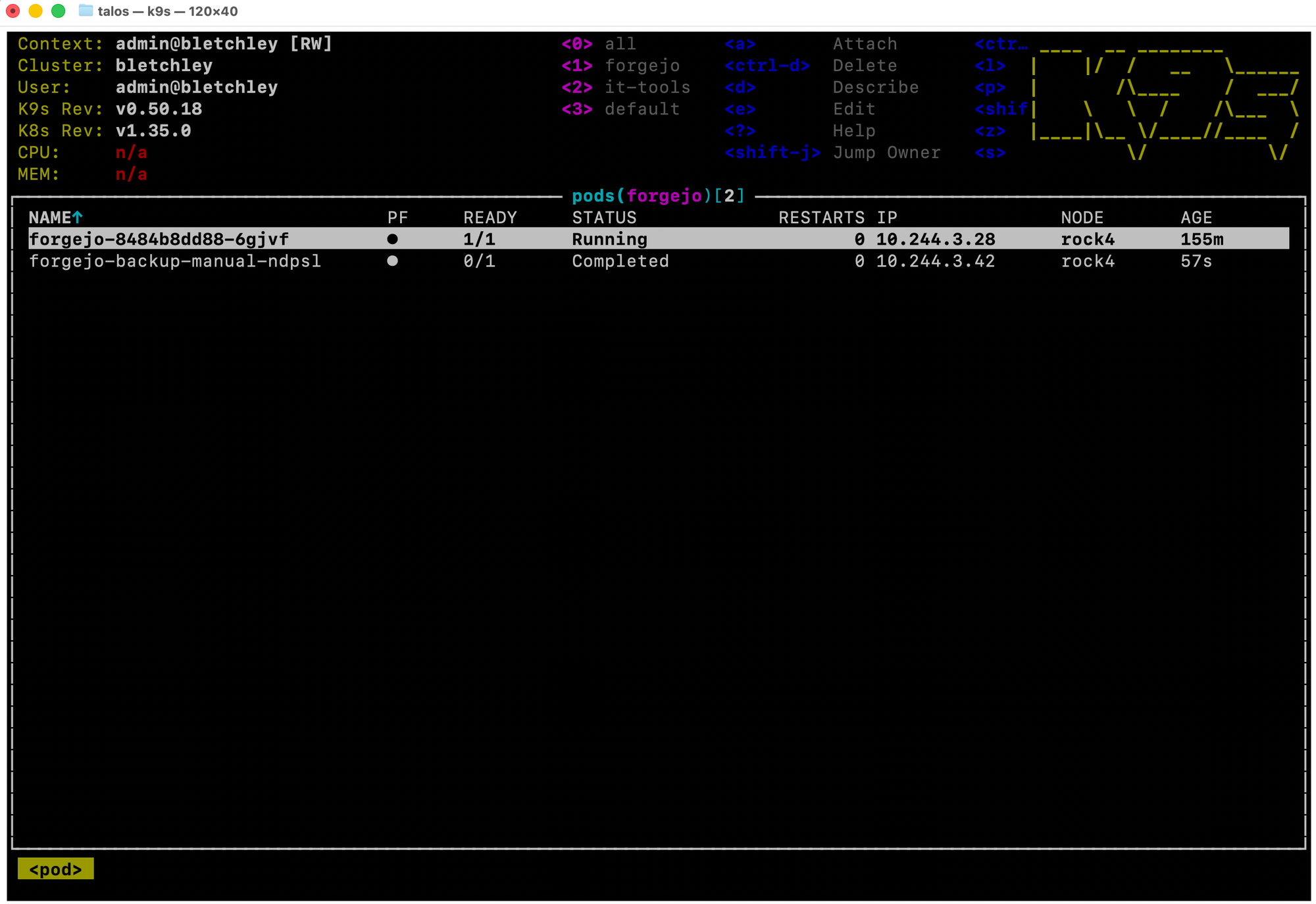 k9s pods view filtered to the forgejo namespace showing two pods: forgejo running on rock4 and forgejo-backup-manual-ndpsl with Completed status, also on rock4
