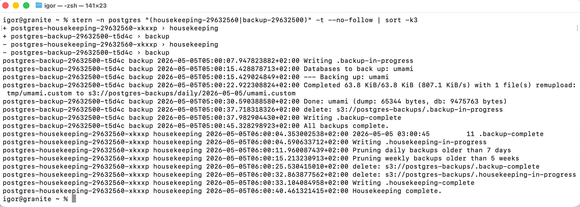 stern log output showing a backup job completing successfully, with database name, dump size, and upload confirmation visible